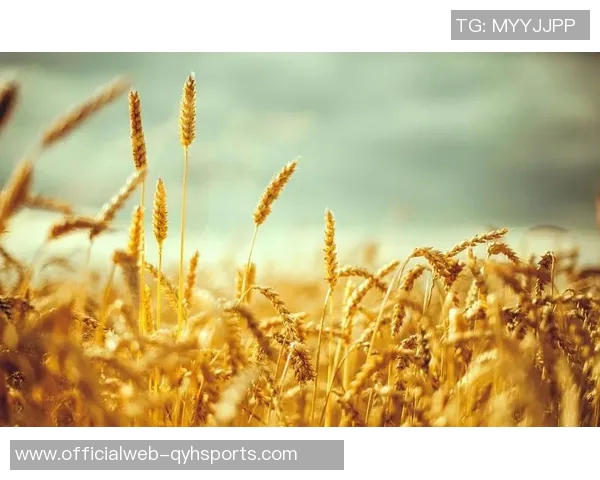 萨林杰的文学世界与心灵探索：从麦田里的守望者看其独特的创作风格与人生哲学